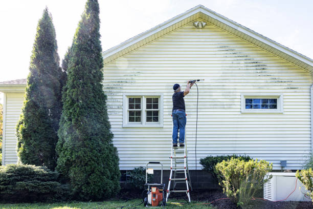 Roof Power Washing Services in Lone Tree, CO