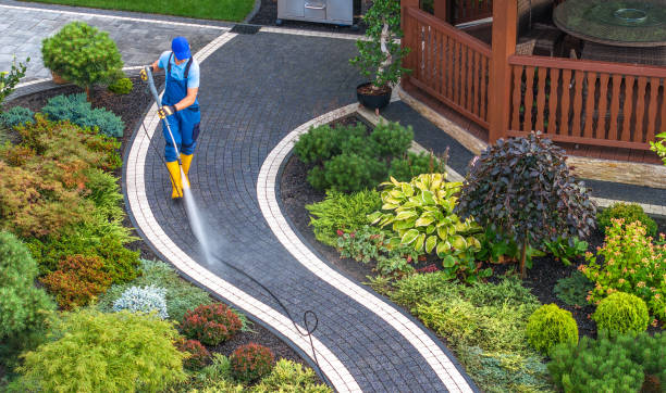 Best Roof Pressure Washing  in Lone Tree, CO